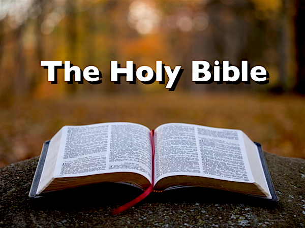 the-holy-bible