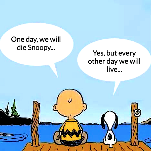 one-day-snoopy